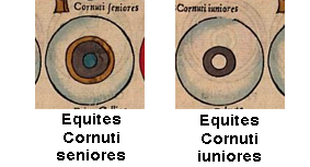 Shield patterns