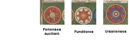 Shield patterns